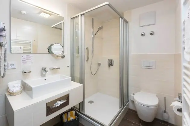 Comfort Tek Kişilik Oda, Dağ Manzaralı