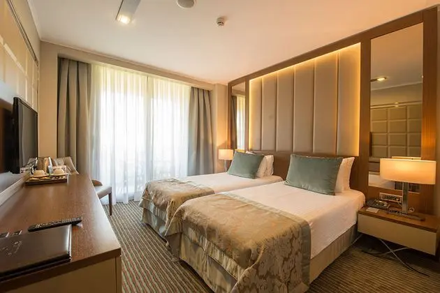 Standart Oda Balkonlu, Dağ Manzaralı