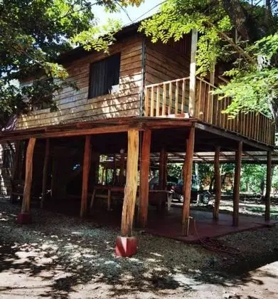 Traditional Kulübe