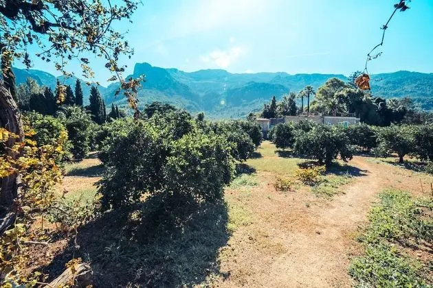 Tek Büyük Yataklı Oda, Teras