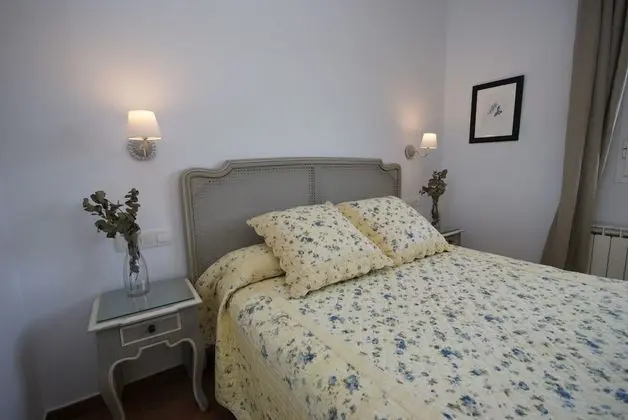 Standard Tek Büyük Yataklı Oda, Üzüm Asması Manzaralı