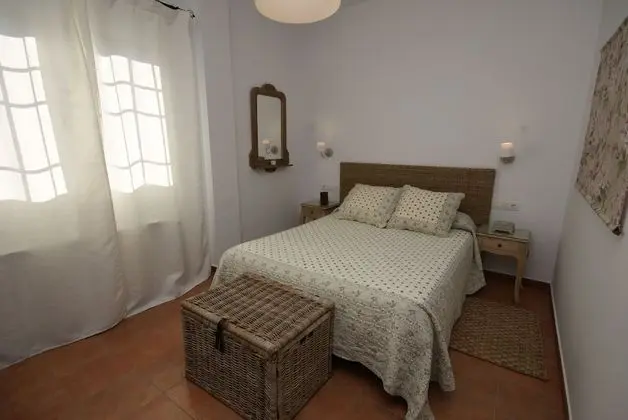 Standard Tek Büyük Yataklı Oda, Üzüm Asması Manzaralı