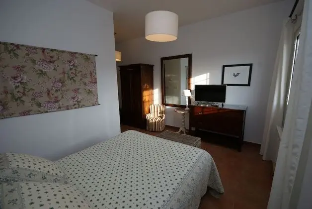 Standard Tek Büyük Yataklı Oda, Üzüm Asması Manzaralı