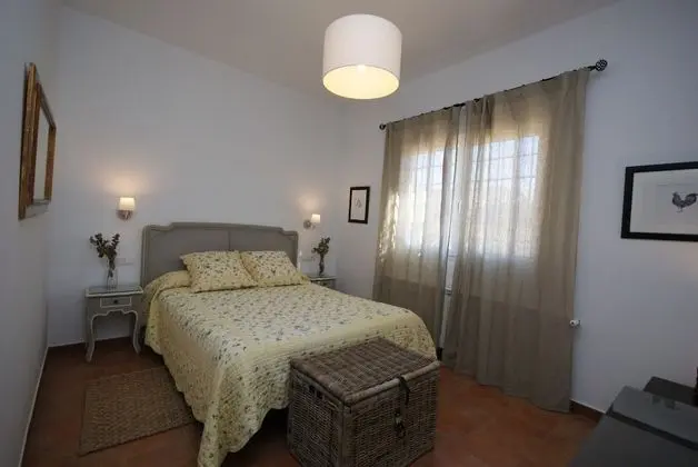 Standard Tek Büyük Yataklı Oda, Üzüm Asması Manzaralı