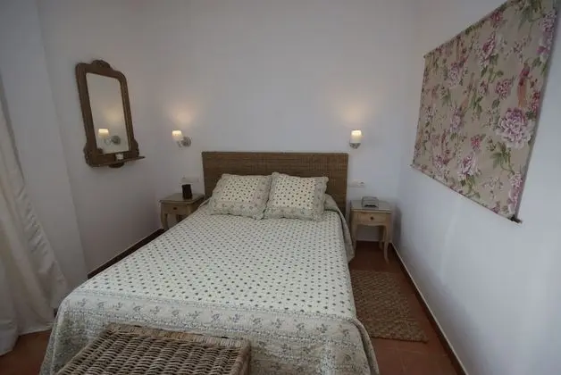 Standard Tek Büyük Yataklı Oda, Üzüm Asması Manzaralı