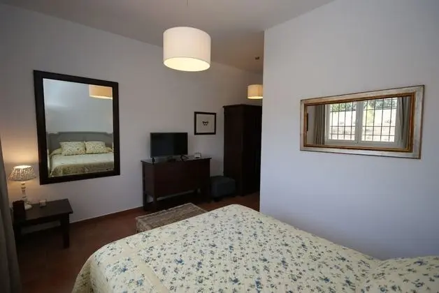 Standard Tek Büyük Yataklı Oda, Üzüm Asması Manzaralı