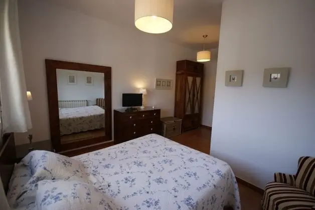 Standard Tek Büyük Yataklı Oda, Üzüm Asması Manzaralı