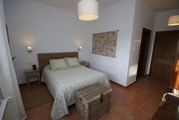 Standard Tek Büyük Yataklı Oda, Üzüm Asması Manzaralı