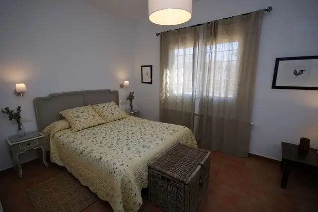 Standard Tek Büyük Yataklı Oda, Üzüm Asması Manzaralı