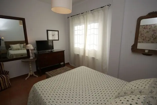 Standard Tek Büyük Yataklı Oda, Üzüm Asması Manzaralı