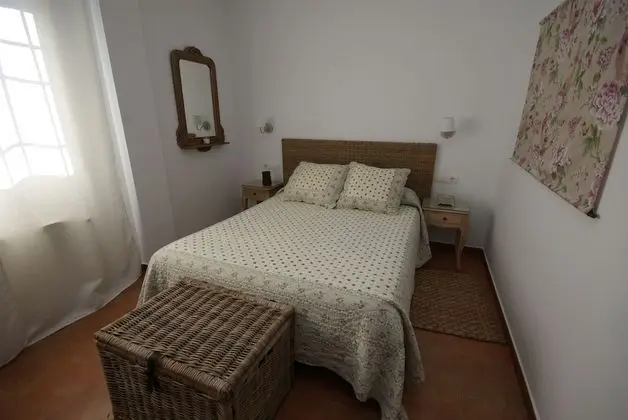 Standard Tek Büyük Yataklı Oda, Üzüm Asması Manzaralı