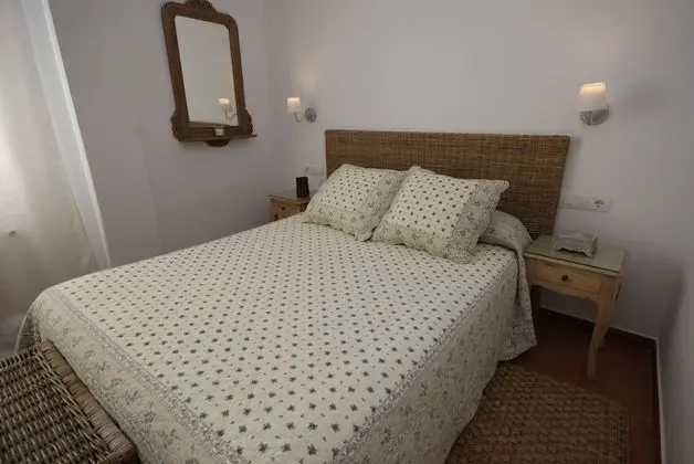 Standard Tek Büyük Yataklı Oda, Üzüm Asması Manzaralı