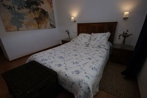 Superior Tek Büyük Yataklı Oda, Üzüm Asması Manzaralı