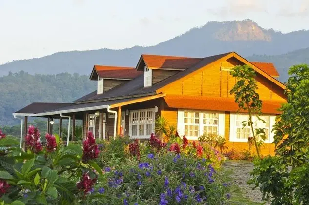 Luxury Süit, Dağ Manzaralı