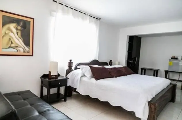 Standard Tek Büyük Yataklı Oda, 1 Çift Kişilik Yatak, Sigara İçilmez
