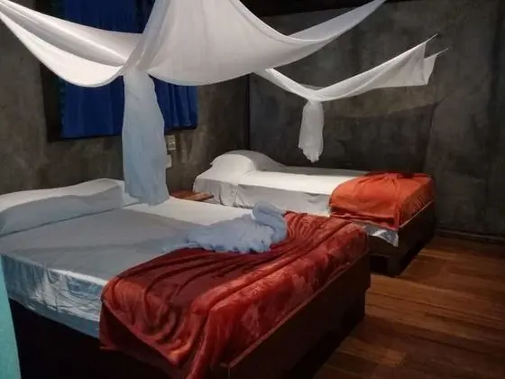 Standard Üç Kişilik Oda, Birden Çok Yatak