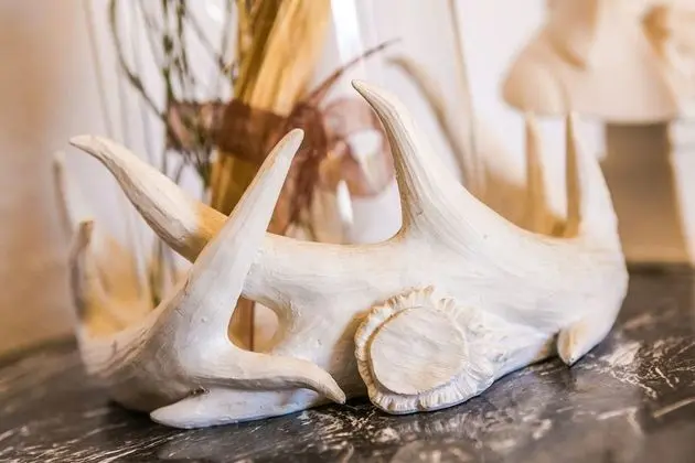 Senior Süit, 1 Büyük (Queen) Boy Yatak, Teras