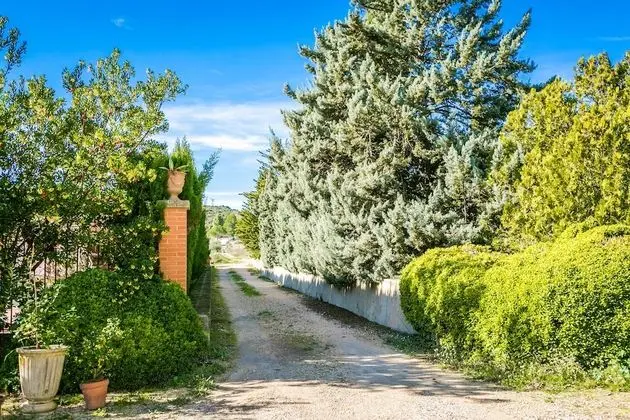 Senior Süit, 1 Büyük (Queen) Boy Yatak, Teras