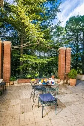 Senior Süit, 1 Büyük (Queen) Boy Yatak, Teras