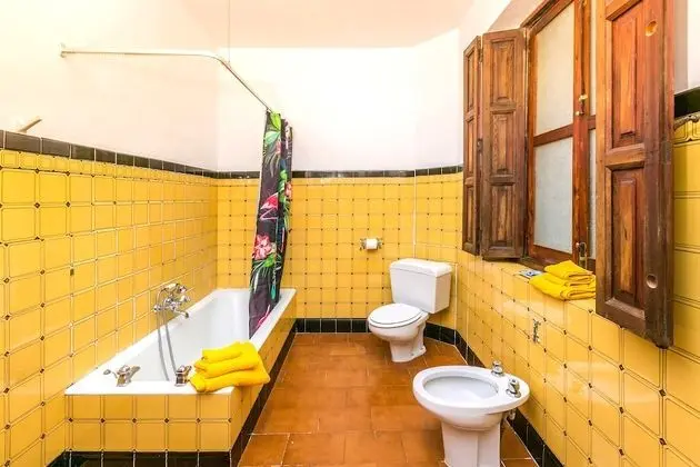 Senior Süit, 1 Büyük (Queen) Boy Yatak, Teras