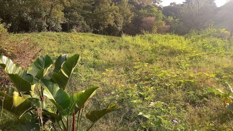 Basic Ortak Ranzalı Oda
