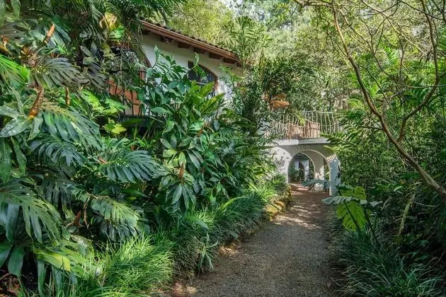 Junior Süit, 1 En Büyük (King) Boy Yatak