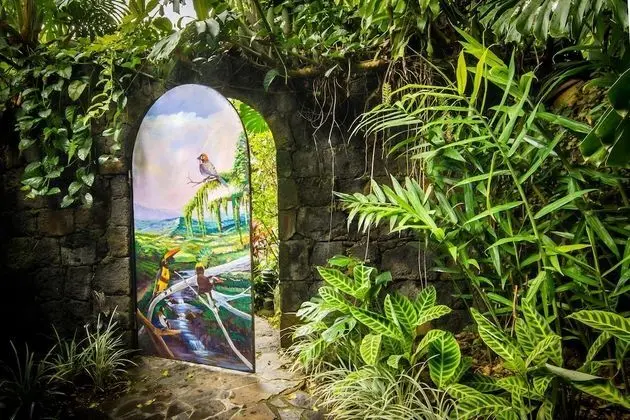 Junior Süit, 1 En Büyük (King) Boy Yatak