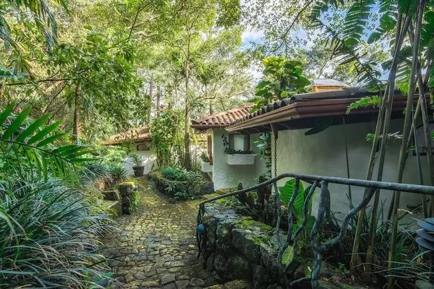 Junior Üç Kişilik Oda