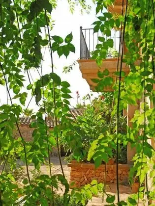Apart Daire, 1 Yatak Odası, Bahçe Manzaralı (Ses Estaques)
