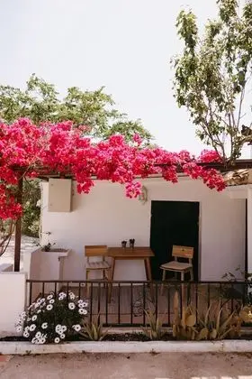 Traditional Apart Daire