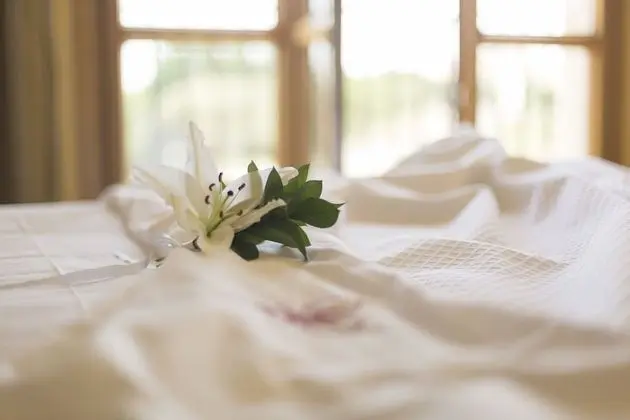 Superior Büyük Yataklı Tek Kişilik Oda