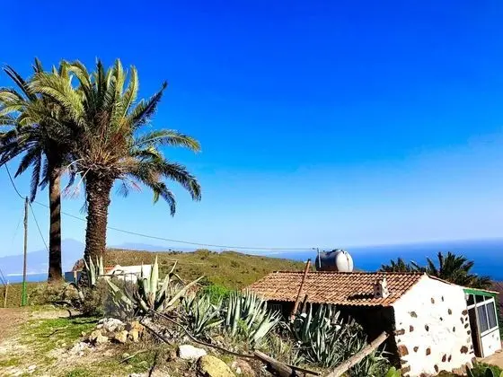 Comfort Bungalov