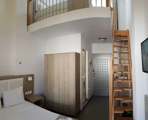 Çatı Katı (Loft), 1 Yatak Odası, Bahçe Manzaralı