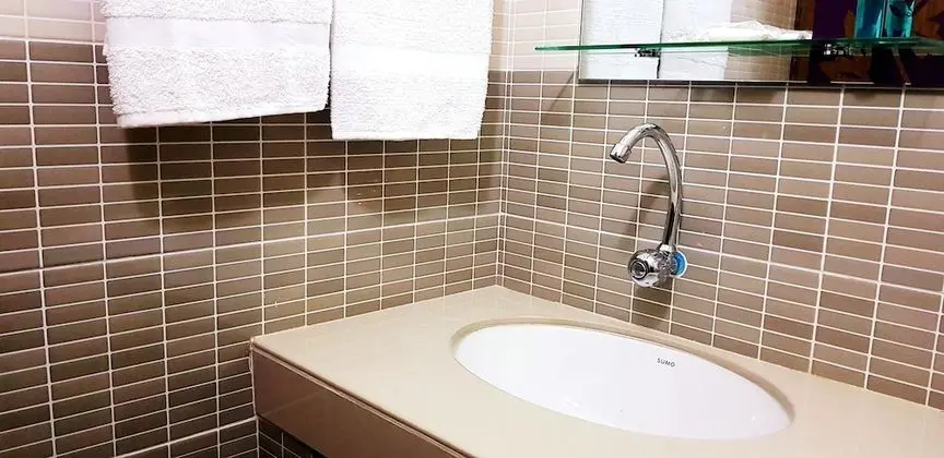 Standard Tek Büyük Yataklı Oda, 1 Çift Kişilik Yatak, Sigara İçilmez, Şehir Manzaralı
