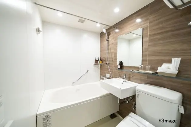 Standard Tek Büyük Yataklı Oda (Single Use)