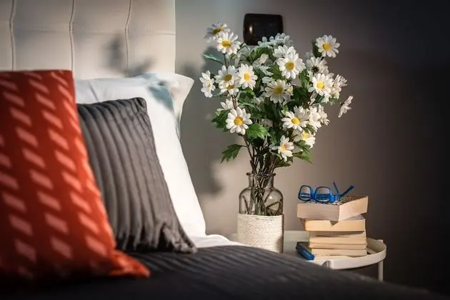 Deluxe Tek Büyük Yataklı Oda, 1 Çift Kişilik Yatak, Sıcak Su Havuzu, Şehir Manzaralı