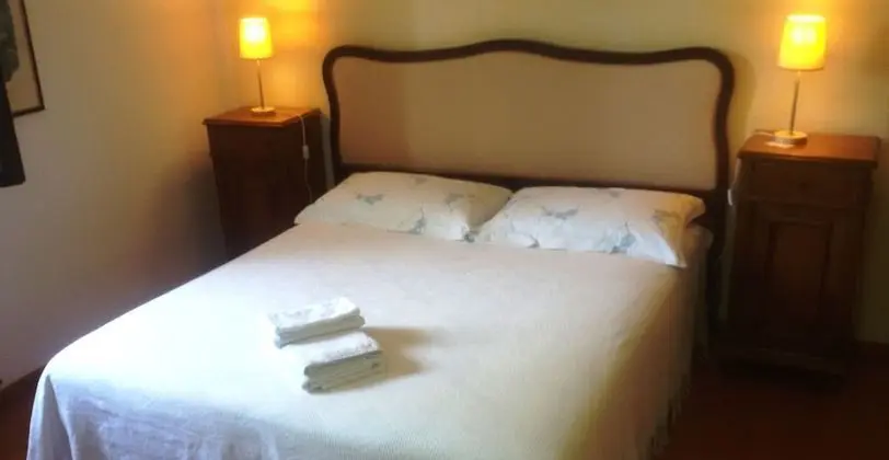 Traditional Tek Büyük Yataklı Oda, Bahçe Manzaralı (Magnolia)