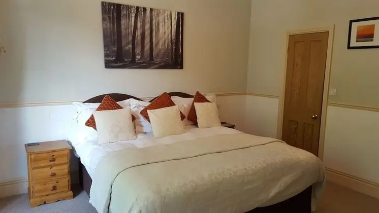 Superior Tek Büyük Yataklı Oda (Room 4)