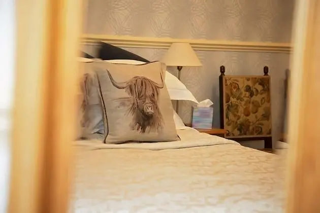 Tek Büyük Yataklı Oda (Room 9)