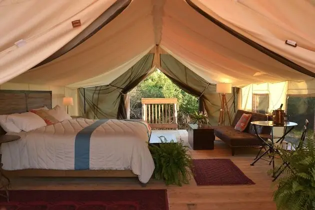 Premium Çadır, 1 En Büyük (King) Boy Yatak