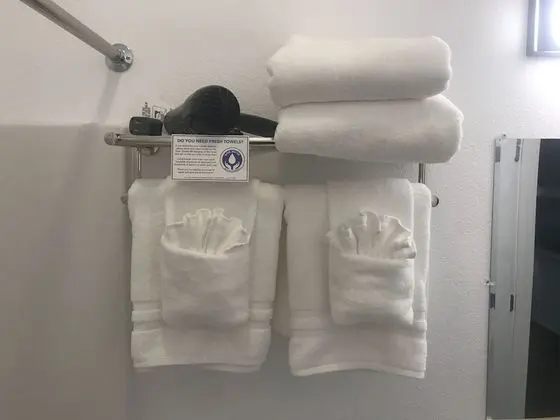 Standard Tek Kişilik Oda, 1 En Büyük (King) Boy Yatak