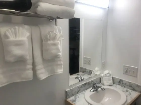 Standard Tek Kişilik Oda, 1 En Büyük (King) Boy Yatak, Engellilere Uygun