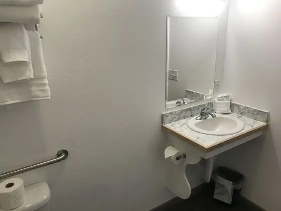 Standard Tek Kişilik Oda, 1 En Büyük (King) Boy Yatak, Engellilere Uygun