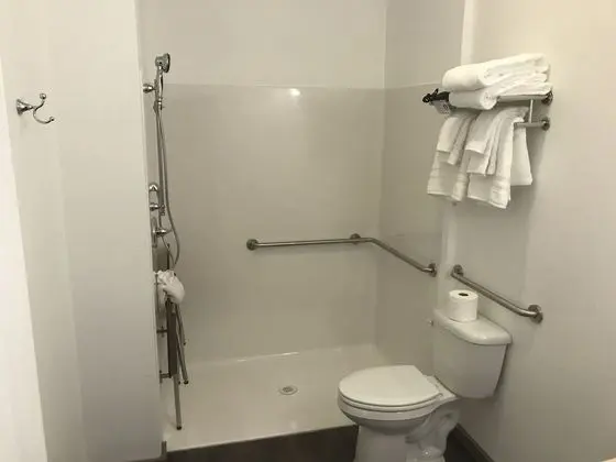 Standard Tek Kişilik Oda, 1 En Büyük (King) Boy Yatak, Engellilere Uygun
