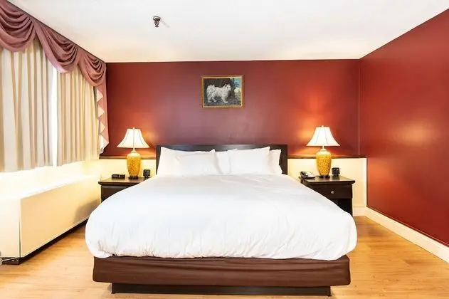 Executive Oda, 1 En Büyük (King) Boy Yatak