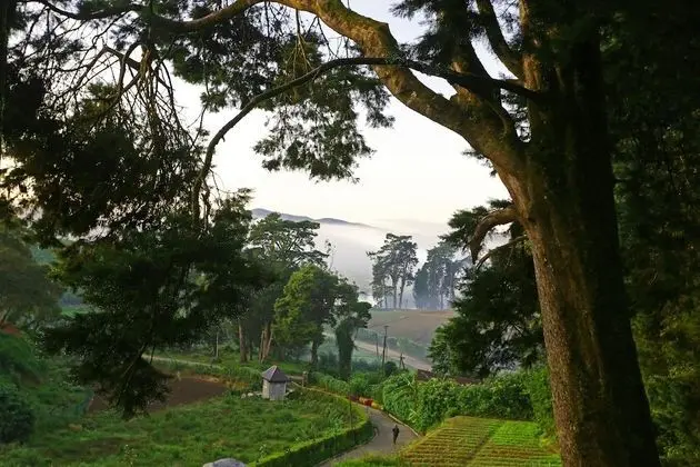 Luxury Süit, 1 Yatak Odası, Sigara İçilmez, Küvet