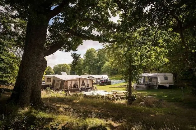 Üç Kişilik Oda (Nature View)