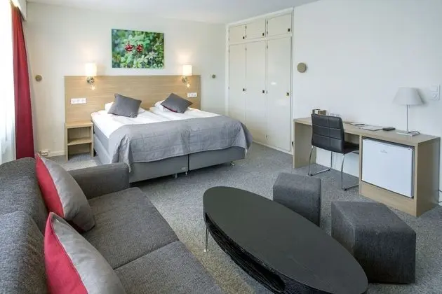 Deluxe Tek Büyük Yataklı Oda, 1 Çift Kişilik Yatak