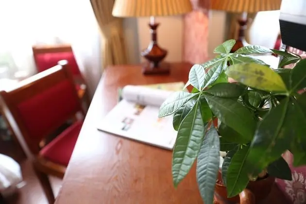 Deluxe Üç Kişilik Oda, Sigara İçilmez, Şehir Manzaralı (City Window)