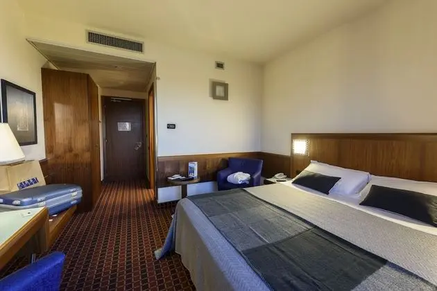 Standard Tek Büyük Yataklı Oda, 1 Çift Kişilik Yatak